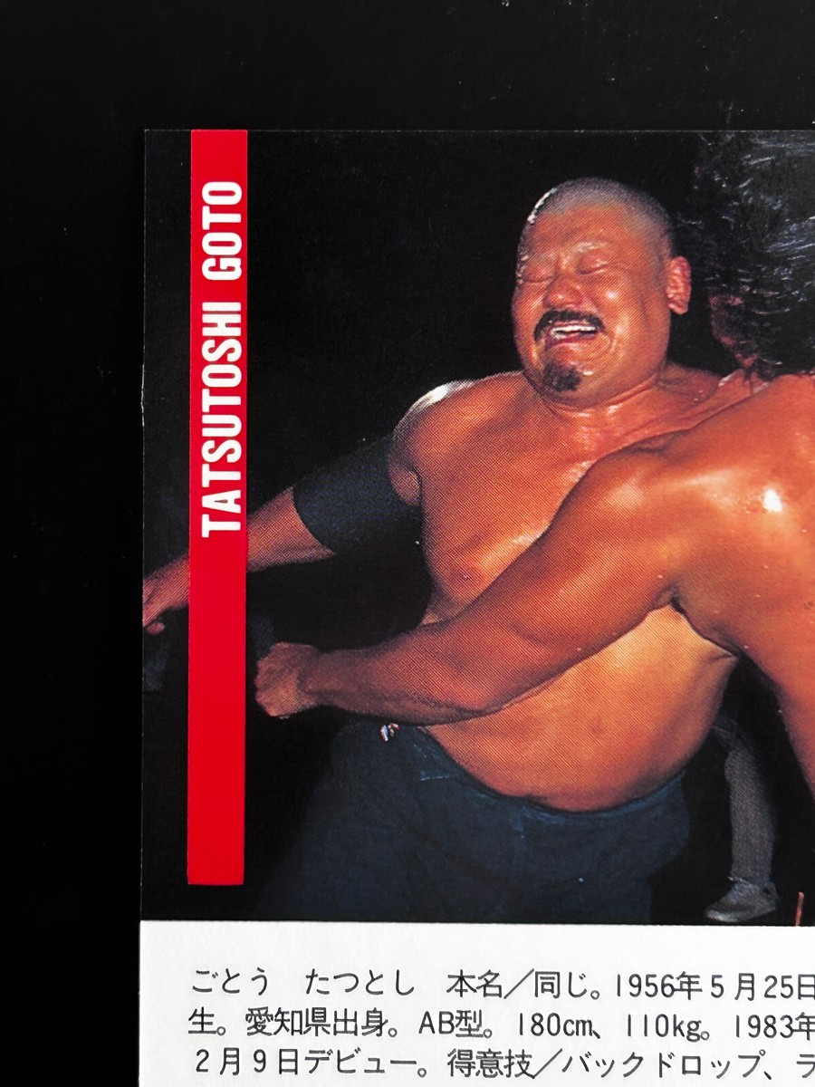 Tatsutoshi Goto Pro Wrestling Card 191 Professional Japanese 1996