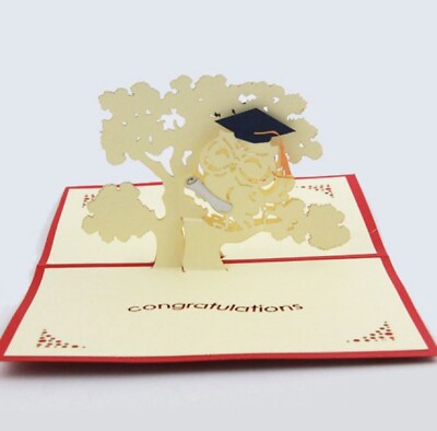 BC Worldwide Ltd handgefertigte 3D Pop-up-Karte Eule Abschluss Glückwunsch Hut ab