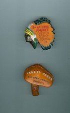 BSA  1960 & 1964 National Jamboree Chester County Council painted Neal slides