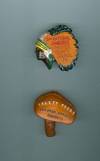 BSA 1960 & 1964 National Jamboree Chester County Council painted Neal slides