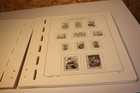 Bild 4 von 6