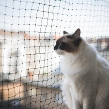 Cat Netting Balcony Pet Mesh Fence for Balcony Black Nylon Balcony Netting for P