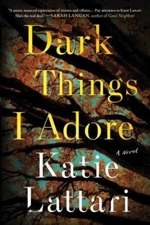 Dark Things I Adore Novel by Katie Lattari Paperback Emotional Thriller