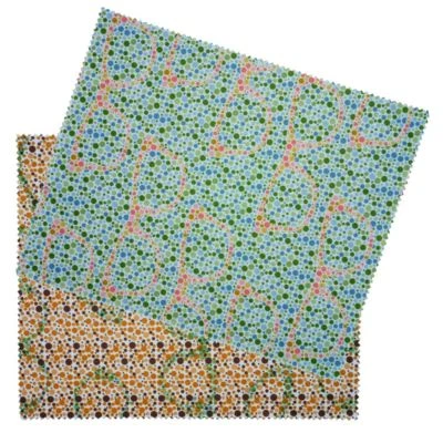 GOOPTICIANS 2 PACK Shinobu Ishihara Color Blindness Test Microfiber Glasses Cleaning Cloth