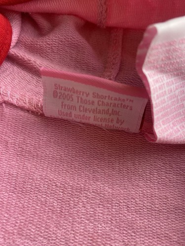 Strawberry Shortcake 2005 Zip Up Hoodie Size 4/5 6/6x - Picture 3 of 3