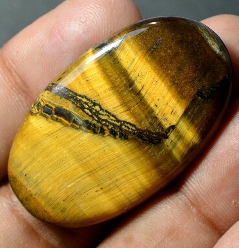 48.90 Ct Natural Tiger's Eye Cabochon AAA+ Beautiful Gemstone !!!! - Picture 2 of 3