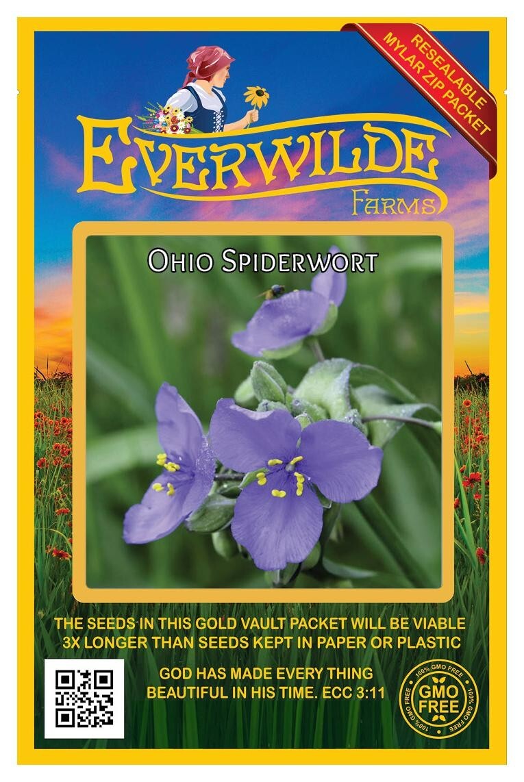 300 Ohio Spiderwort Wildflower Seeds - Everwilde Farms Mylar Seed Packet |  eBay