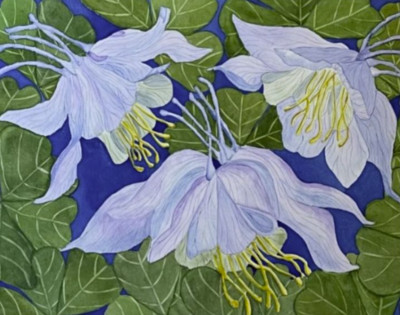 PAINTING WATERCOLOR 11X14 DOUBLE MAT 16X20 FLOWER COLUMBINE PURPLE BLUE ORIGINAL
