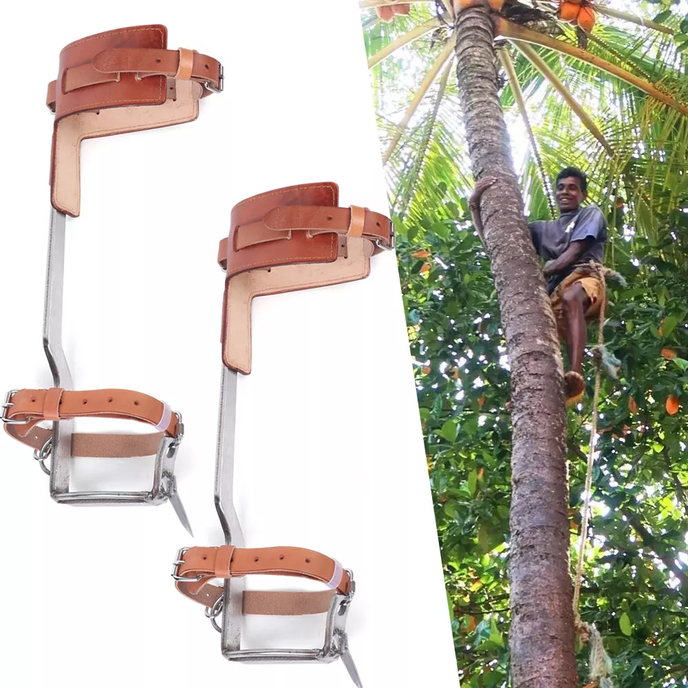 Tree Climbing Gear Kit for Tree Work Tree Climbing Tool with Tree Spikes  200KG