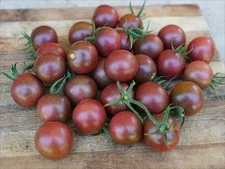 30 BLACK CHERRY TOMATO SEEDS ~ 2026 ~ NON-GMO ~ heirloomseedguy