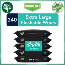 DUDE Wipes Flushable Wipes, XL Wet Wipes for At Home Use, Mint Chill, 240 Count