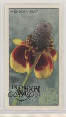 2019 Topps Allen & Ginter In Bloom Minis Mexican Hat #IB-4 y8h