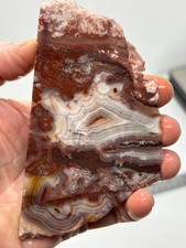 Mexican Laguna Crazy Lace Agate Slab Cabbing Collecting Combo Ship Avail