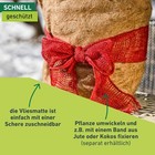 Bild 5 von 6