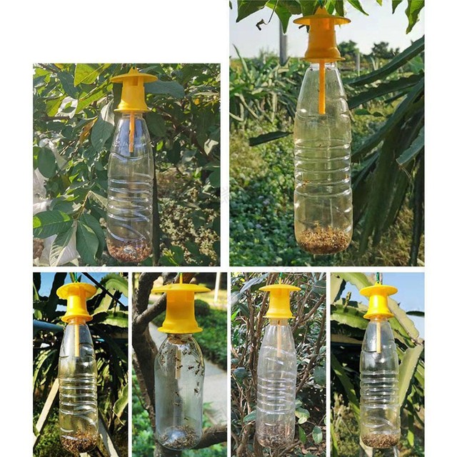 Fruit Fly Trap Killer Plastic Yellow Drosophila Trap Fly Catche Sale 2022 I6U2 Fruit Fly Trap Killer Plastic Yellow Drosophila Trap Fly Catche Sale 2022 I6U2