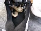 Bild 11 von 12