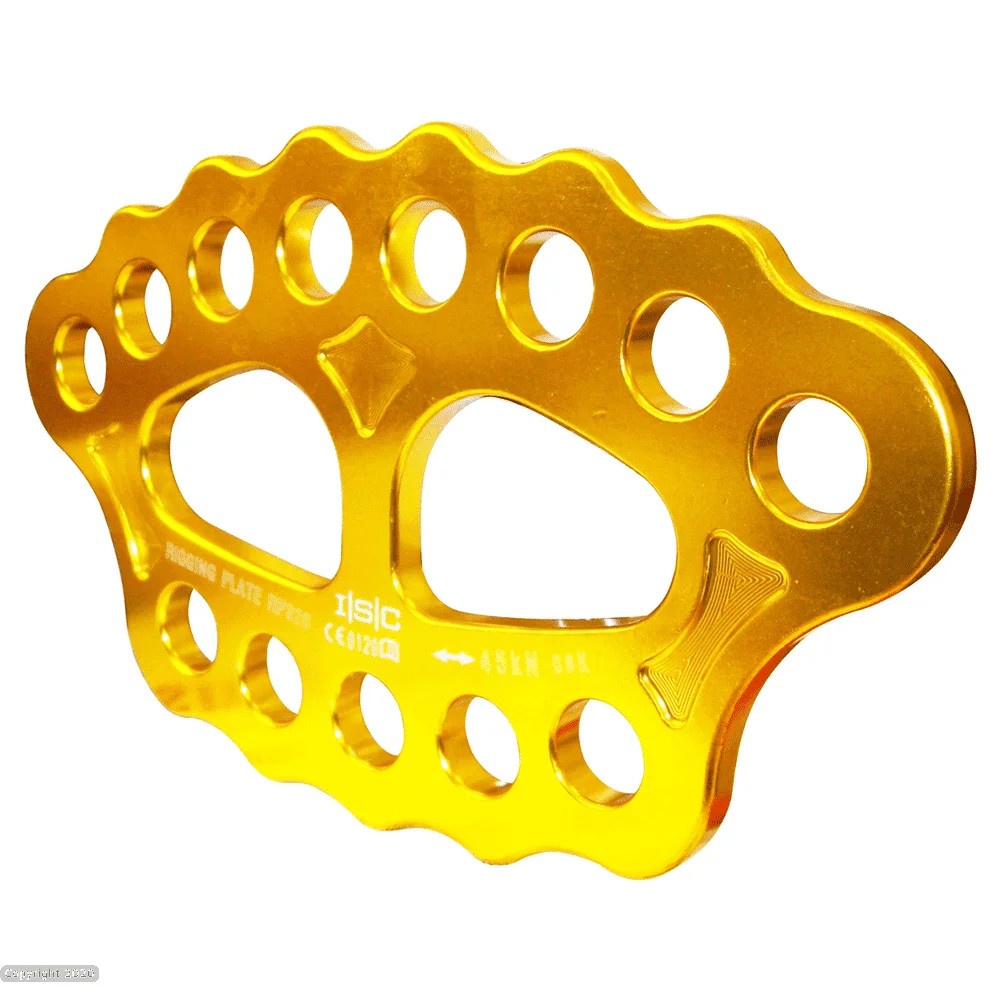 ISC Rigging Plate - Gold - Large - Arborist, Tree Surgery, Height Safety