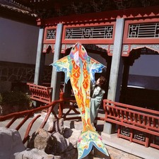 Koi Big Kite Novelty Giant Carp Kite for Outdoor Activities Beach Grasslands