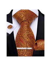 Paisley Ties for Men Silk Necktie and Pocket Square Cufflinks Tie Clip Set Wo...