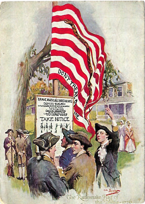 Don't Tread on ME The Rattlesnake Flag Of the 1776 Militia