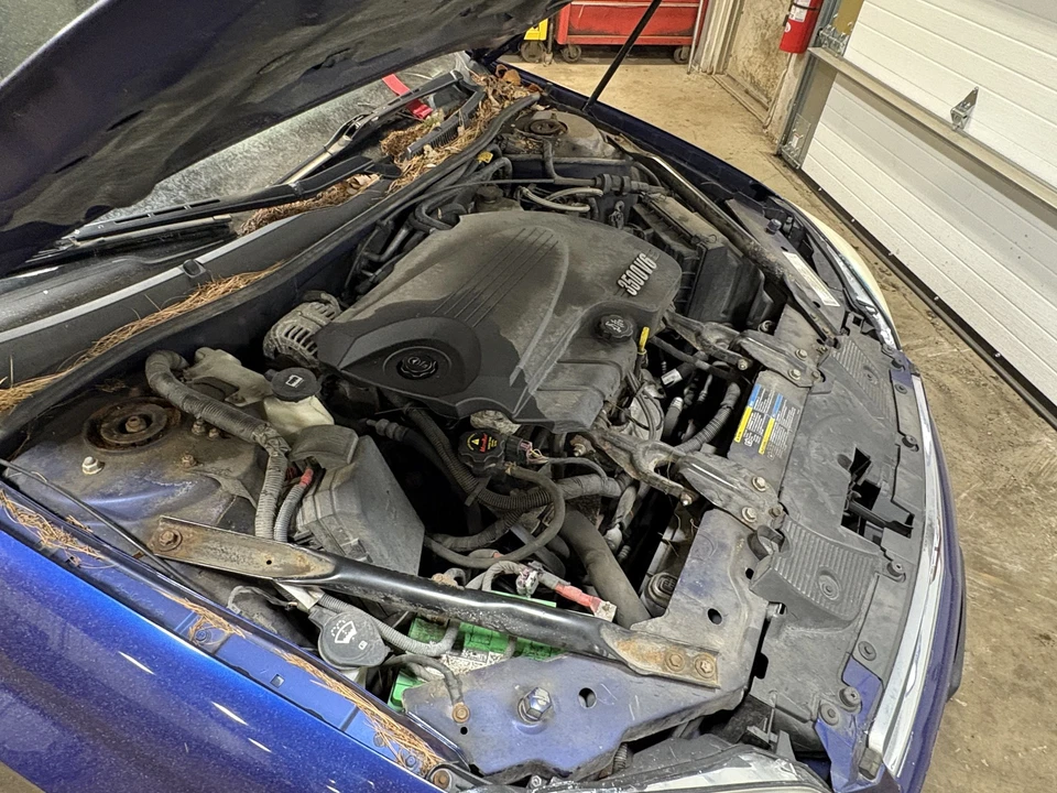 Used Washer Fluid Reservoir fits: 2006 Chevrolet Impala Grade A Foto 2 de 4