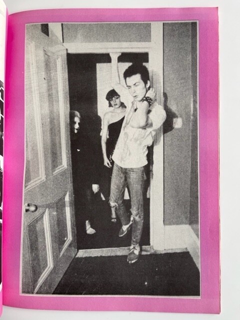 The Sid Vicious Family Album / A pictorial souvenir/ Anne Beverley