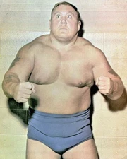 Bulldog Brower Photo Wrestling Picture Wwwf Nwf Wwc Color