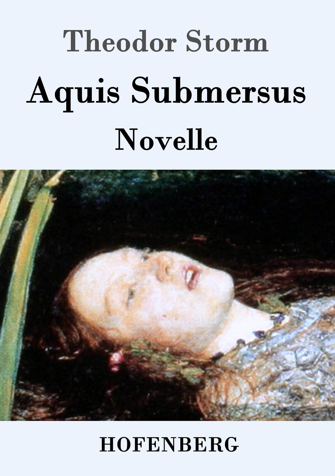 Aquis Submersus | Buch | 9783843023818