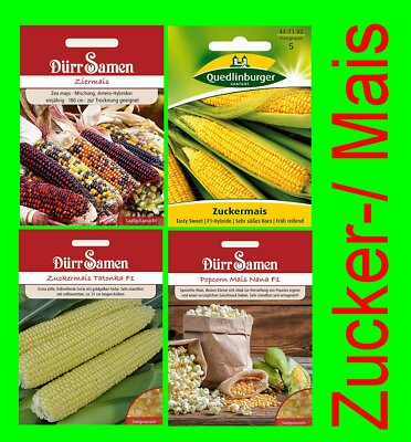 adventskalender saatgut bio BIO Saatgut Adventskalender 2025 mit 24 verschiedenen Gemüsesorten main image 1