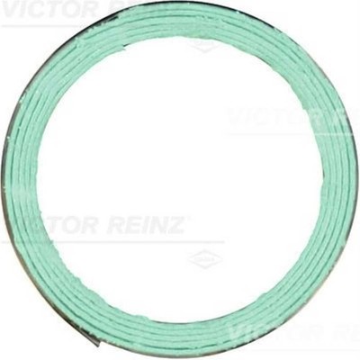Reinz 71-39378-00 Guarnizione Collettore Aspirazione In Gomma FPM Per BMW D3 Biturbo