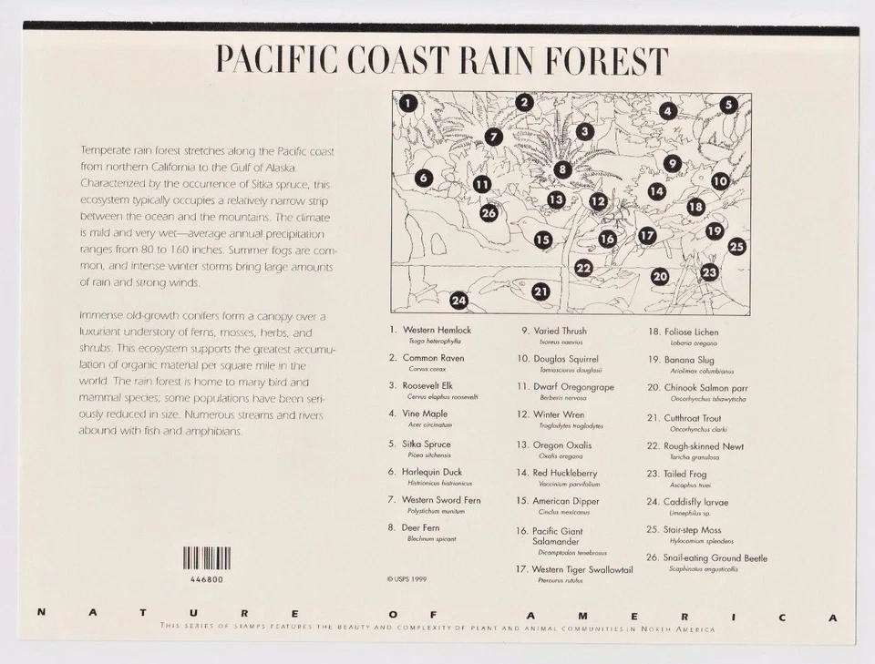 Pacific Coast Rain Forest #2 in a series Sheet   10 - 33c Postage stamps USA - Image 2 of 2