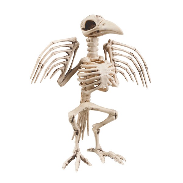 KräHen Deko Skelett / Halloween Horror Grusel Hexen Party Vogel Knochen Gerippe-image