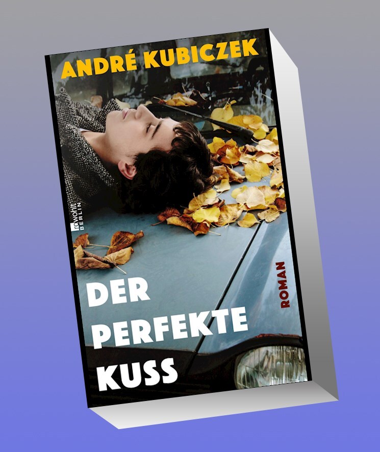 Der Perfekte Kuss André Kubiczek