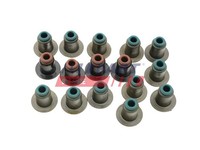 Dichtungssatz Ventilschaft Fast FT49604 FüR Fiat Ducato Bus 110 Multijet 120 4X4