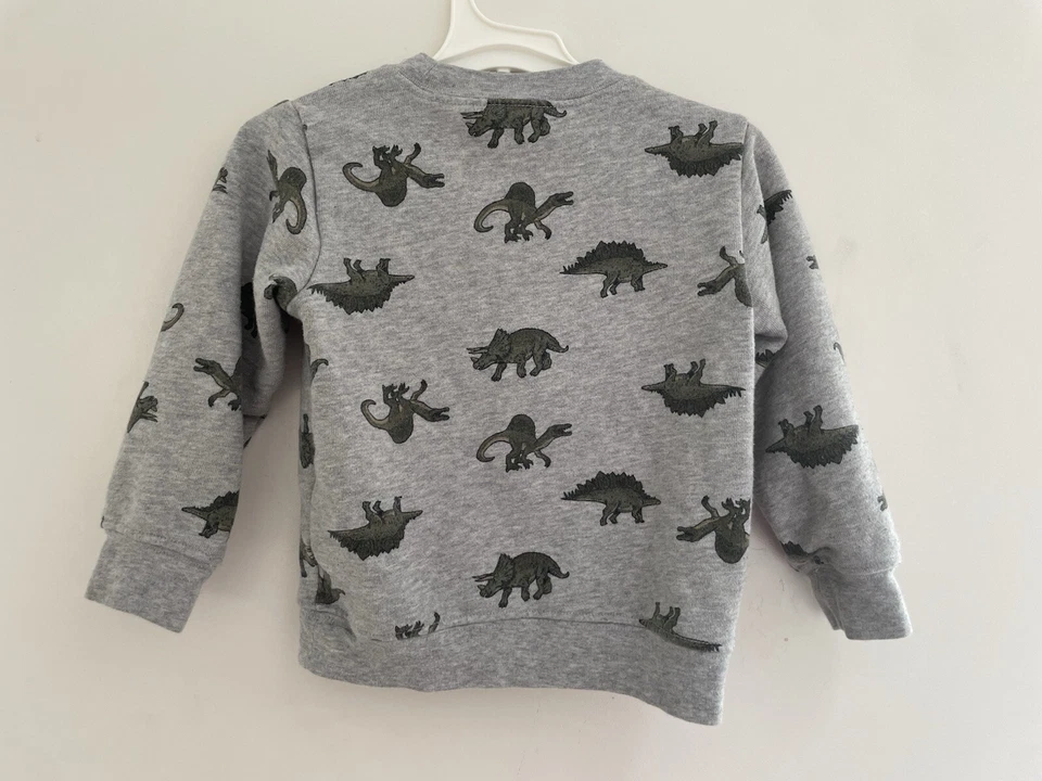 Carter's Niño Pequeño Niños Todo Verde Dinosaurio Algodón Cuello Redondo Sudadera Gris 2T Foto 3 de 4