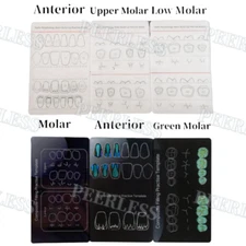 Dental Composite Resin Filling Model Template Morphology Board Study Black/White