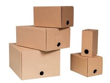 Bag-in-Box Karton - versch Gr&ouml;&szlig;en 1,5-3-5-10-20Liter Saftkarton Weinkarton
