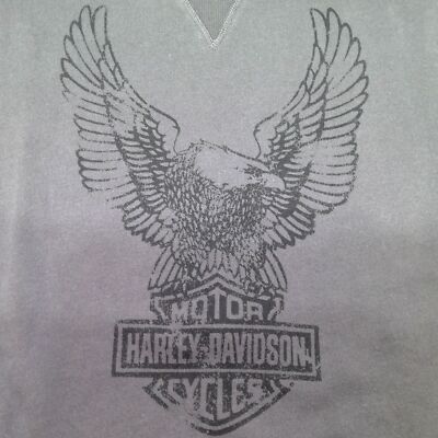 NEW Mens Harley-Davidson Ombre Road Captain Eagle Sweatshirt