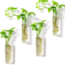 Wall-Mounted Plant Terrarium Propagation Station - 4 Cylinder Hanging Glass Tube