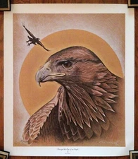 Dan Brewer "Buffler" Signed Print rolled unframed "Through the Eye of an Eagle"