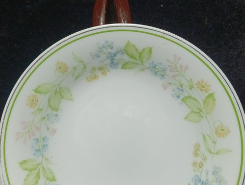 Noritake China Essence 2606 Obst Dessert Saucenschüssel 5,5" Breite x 1,25" Höhe 5er Set - Bild 2 von 7