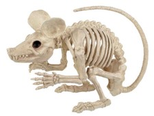 21.5 Inch Rat Skeleton Halloween Decor Realistic Spooky Prop Haunted House Decor