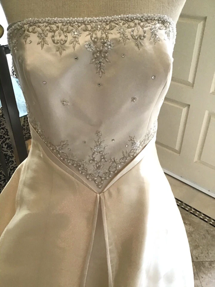 GINZA NUEVO Vestido de Novia Vestido de Novia Marfil/Champán Bordado Organza 12 EE. UU. Foto 2 de 4