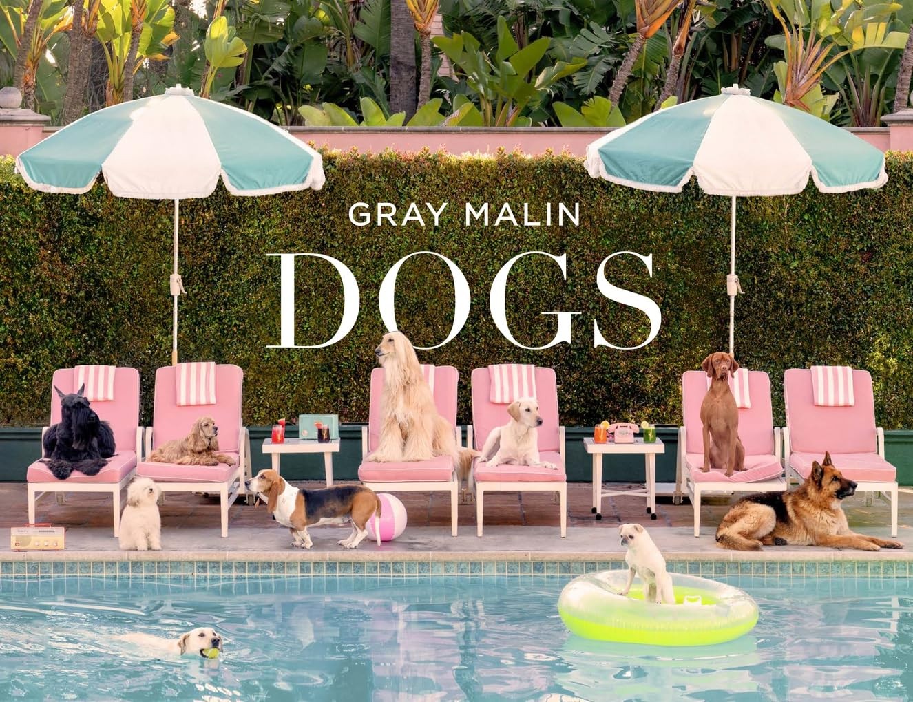 Gray Malin: Dogs: Photographs, Malin, Malin, 9781419769238 Fast Free Shipping^*
