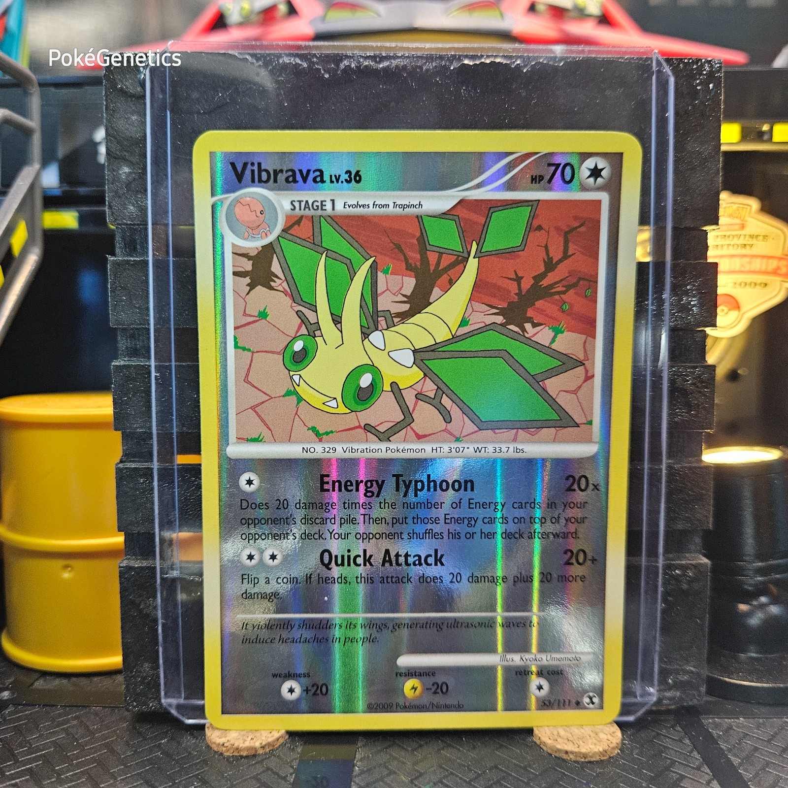 Vibrava Rising Rivals Reverse Holo Pokémon TCG 53/111 Platinum Uncommon