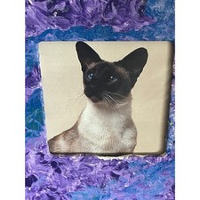 Vintage Small Cat Picture Upcycled Print 6.5x6.5 Blue eyes Siamese Cottagecore