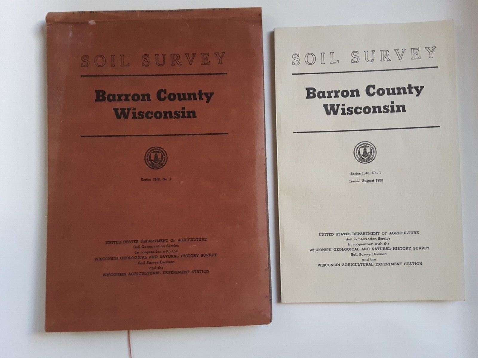 Surveyor Market Item for Sale