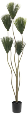 EUROPALMS Papyrus, Kunstpflanze, 130cm