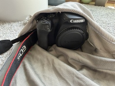 Canon EOS 250D 24.1MP DSLR-Kamera - Schwarz (Nur Gehäuse)