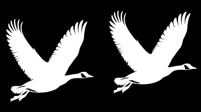 Canada Geese 2 PK 5'' White Vinyl Decal Car Truck Laptop Tablet Mailbox